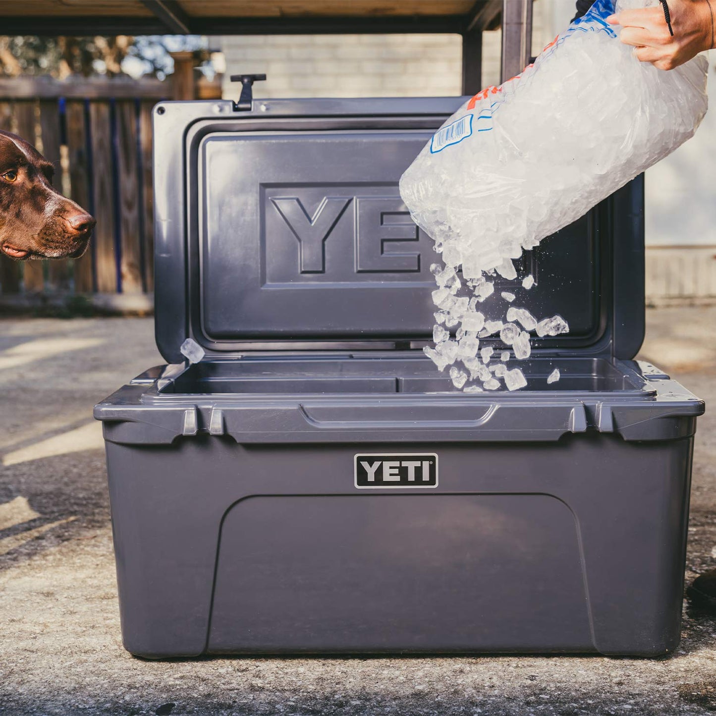 YETI Tundra 65 Cooler