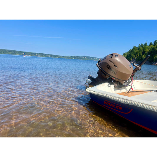 Whaler at Vance's Beach